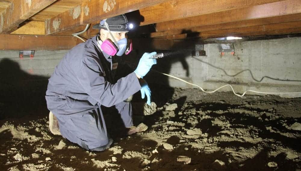 How to Spot Crawl Space Problems for New Homeowners