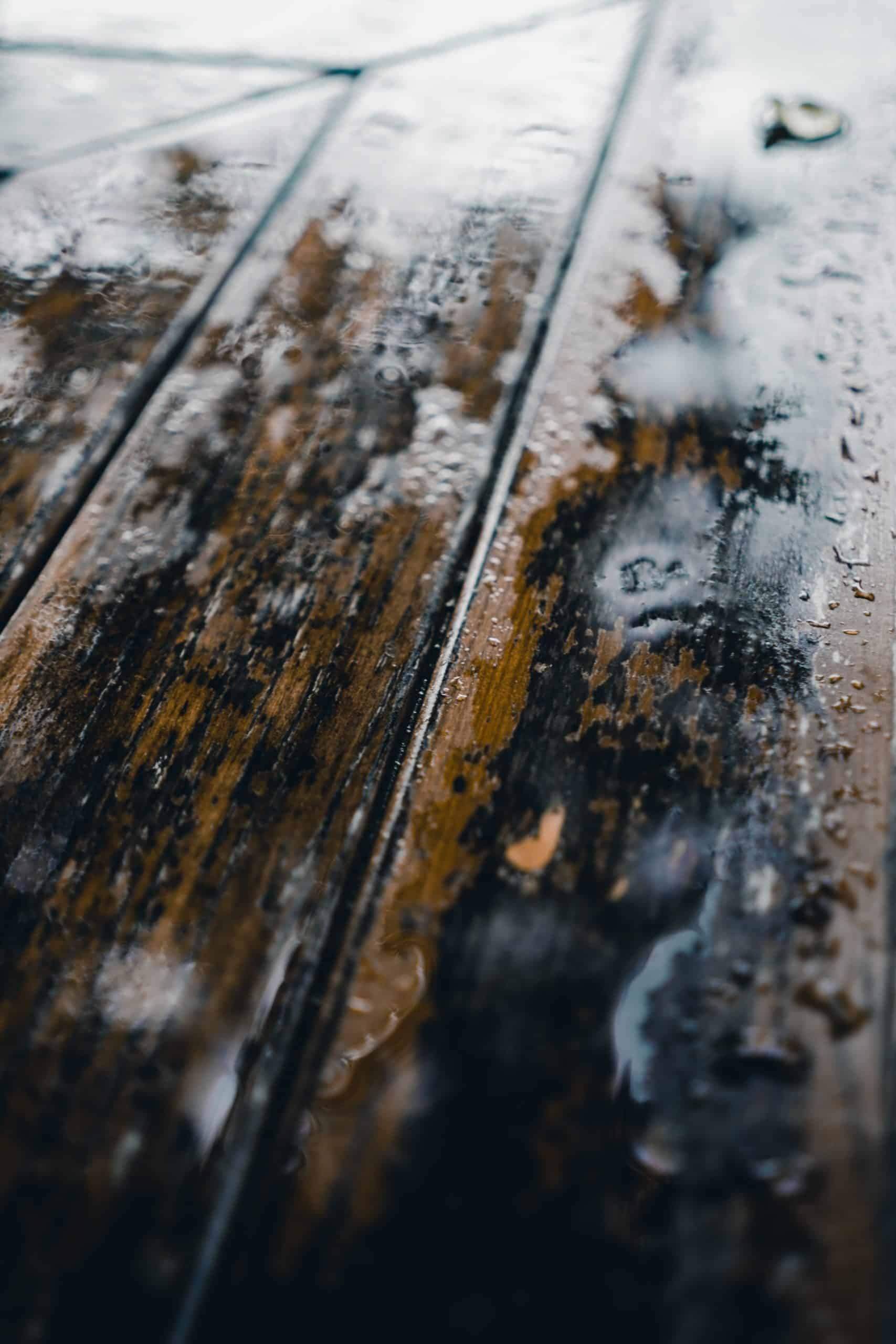 How to Recognize and Resolve Mold in a Crawl Space