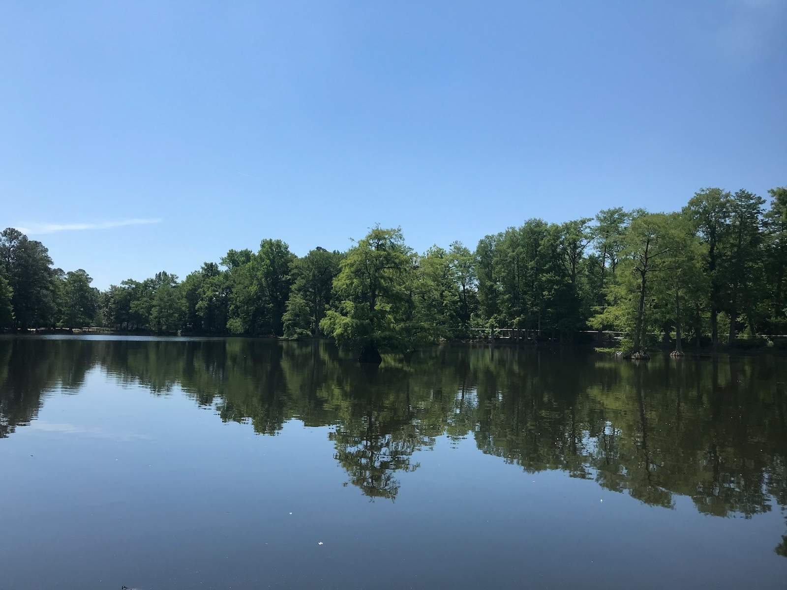 Sumter, SC: Photo by V K on Unsplash