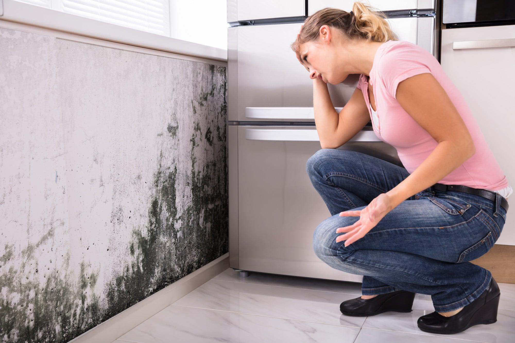 7 Crawl Space Effects on Your Home’s Air Quality