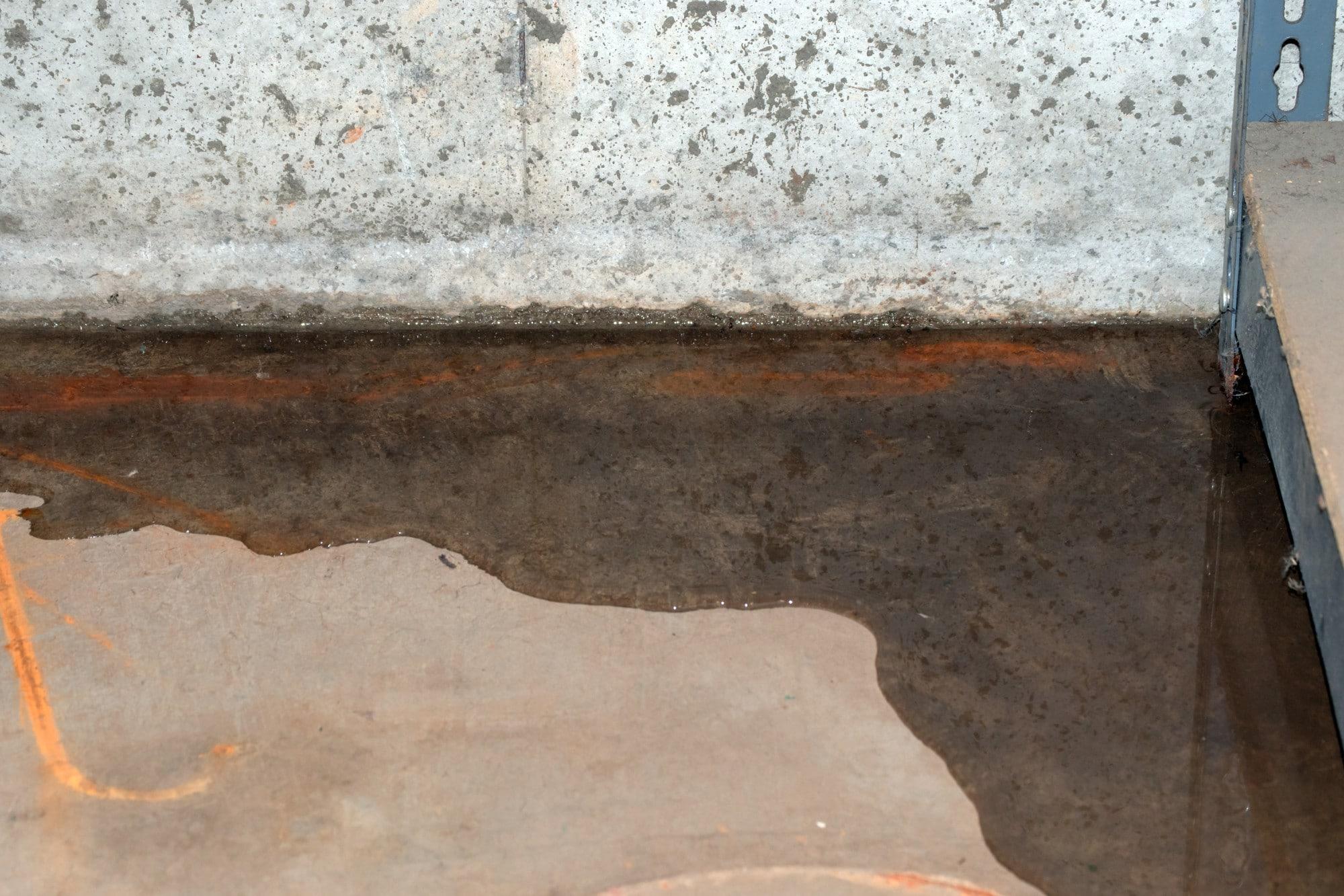 Do You Really Need a Sump Pump?