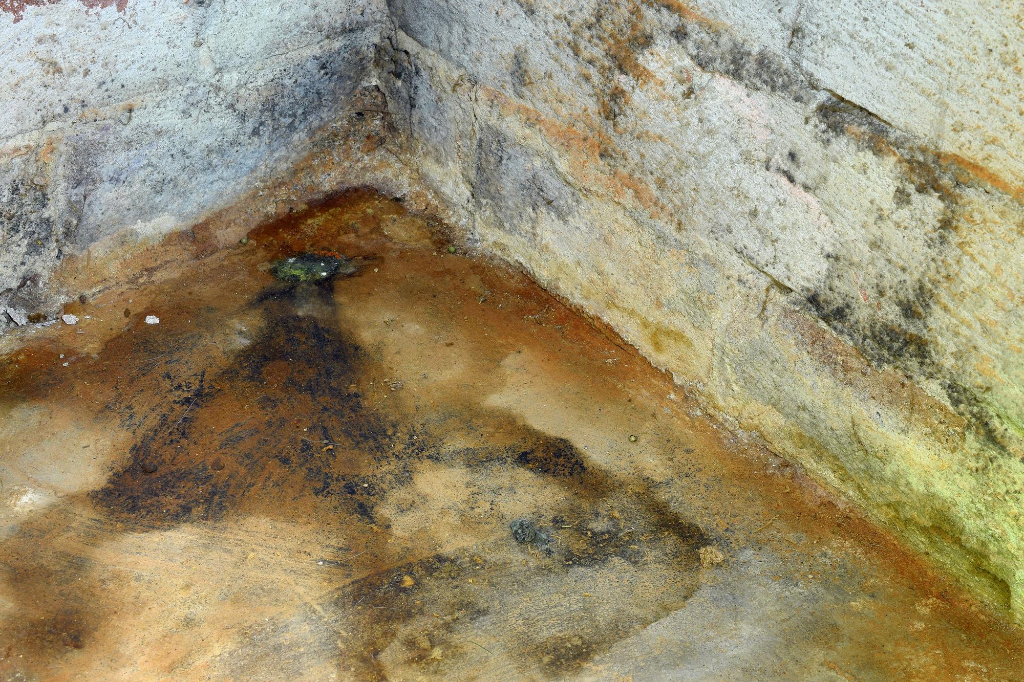 Save Yourself: Buying a Home with a Wet Crawl Space or Basement