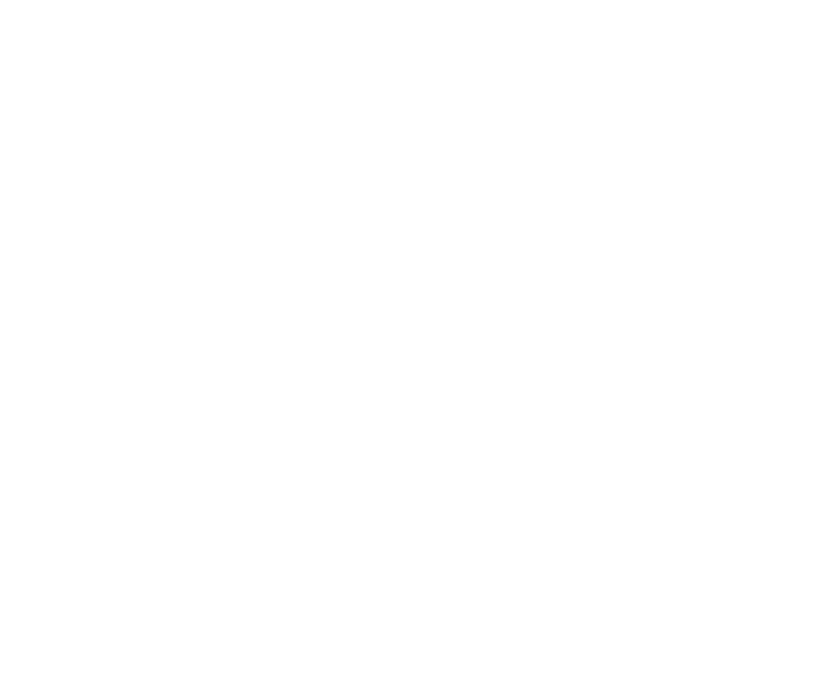 Punchlist Pros
