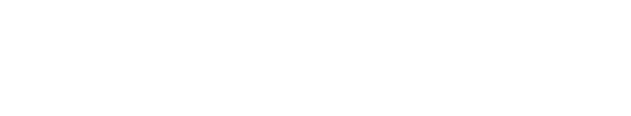 Find It Duke — Greenville community partner