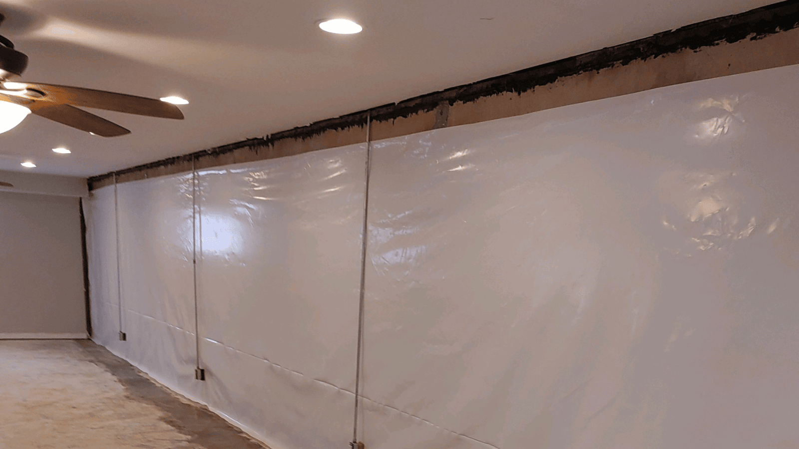 Common Basement Issues