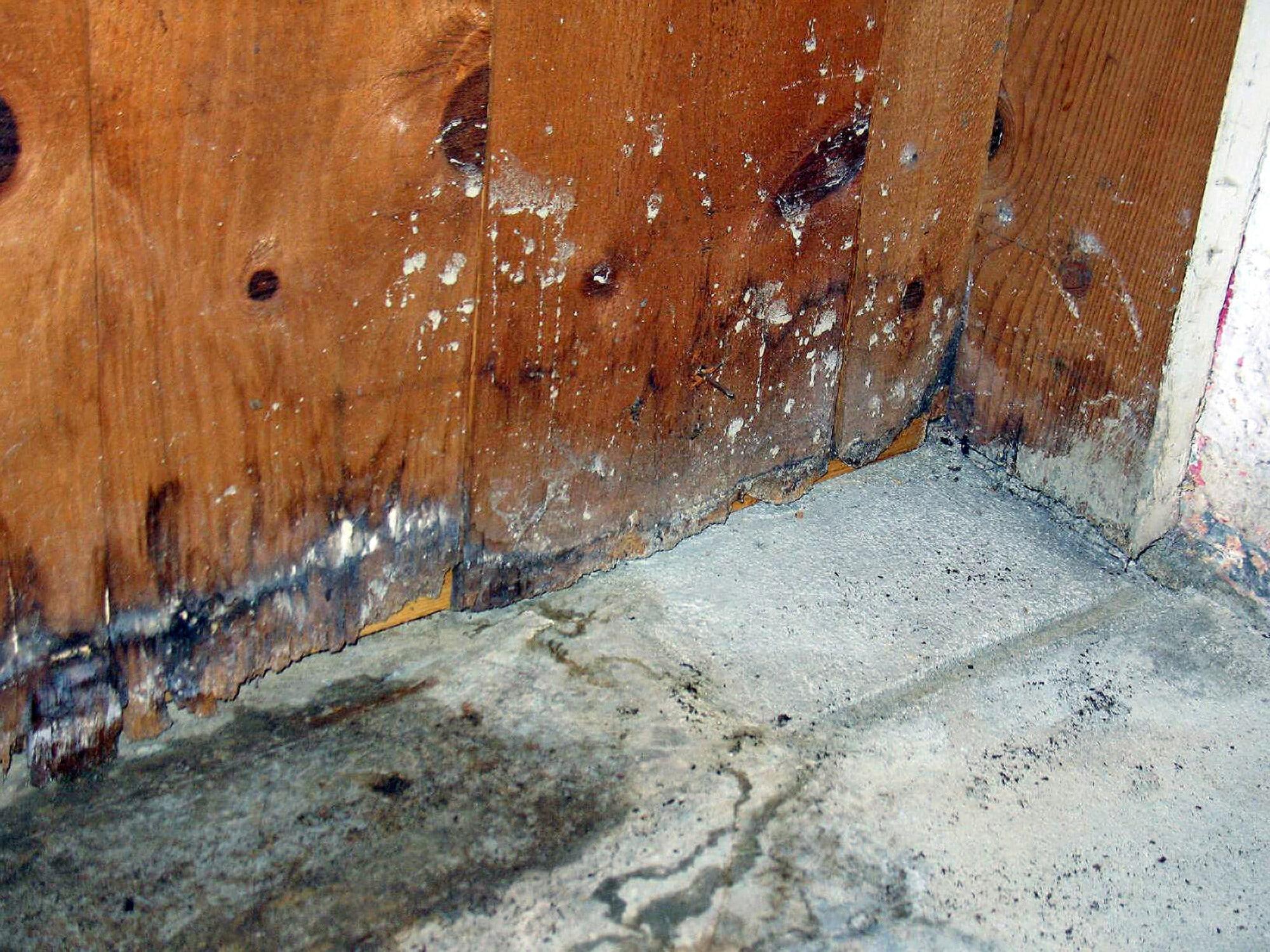 Is Basement Waterproofing Worth It? Let’s Find Out.