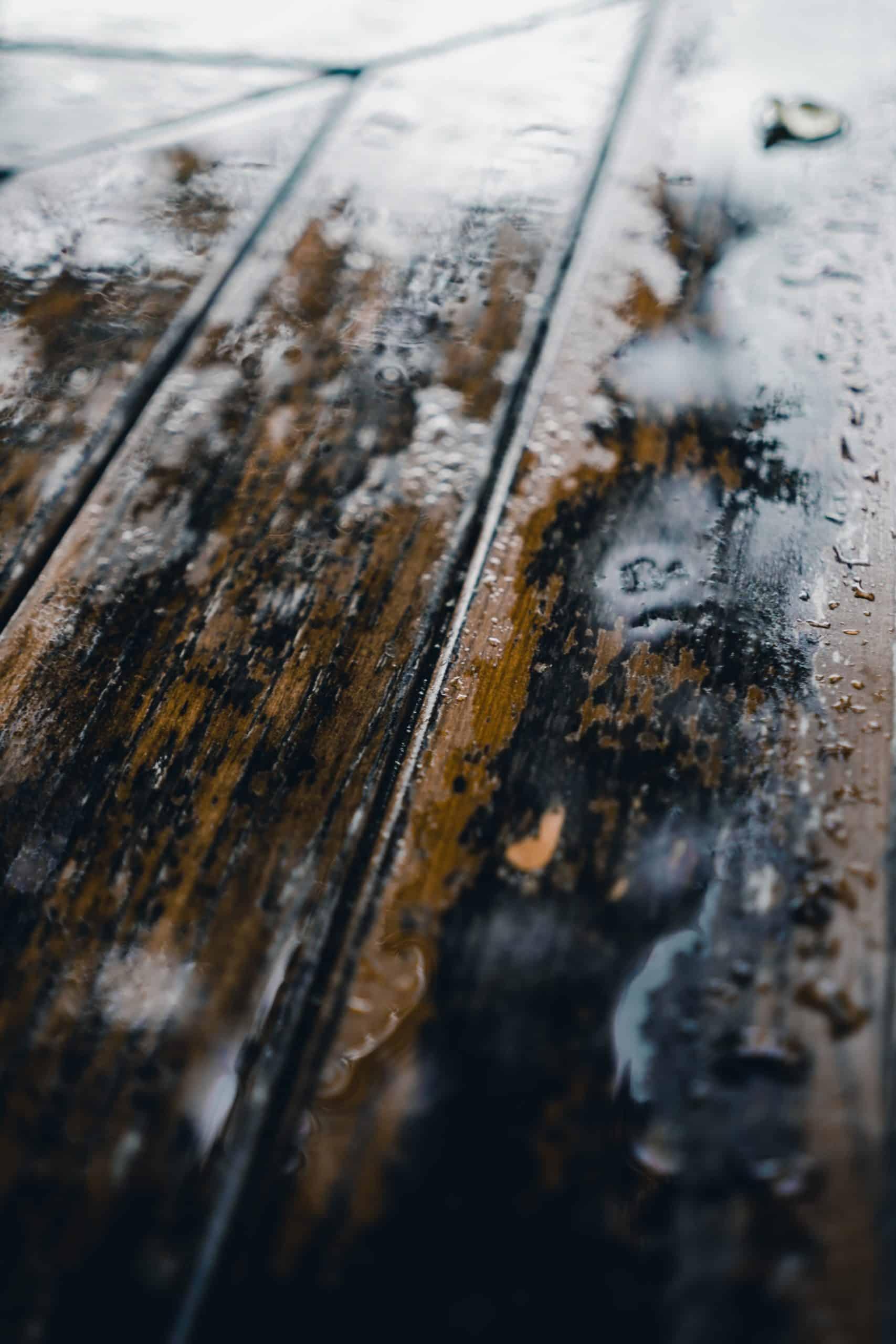 How to Recognize and Resolve Mold in a Crawl Space