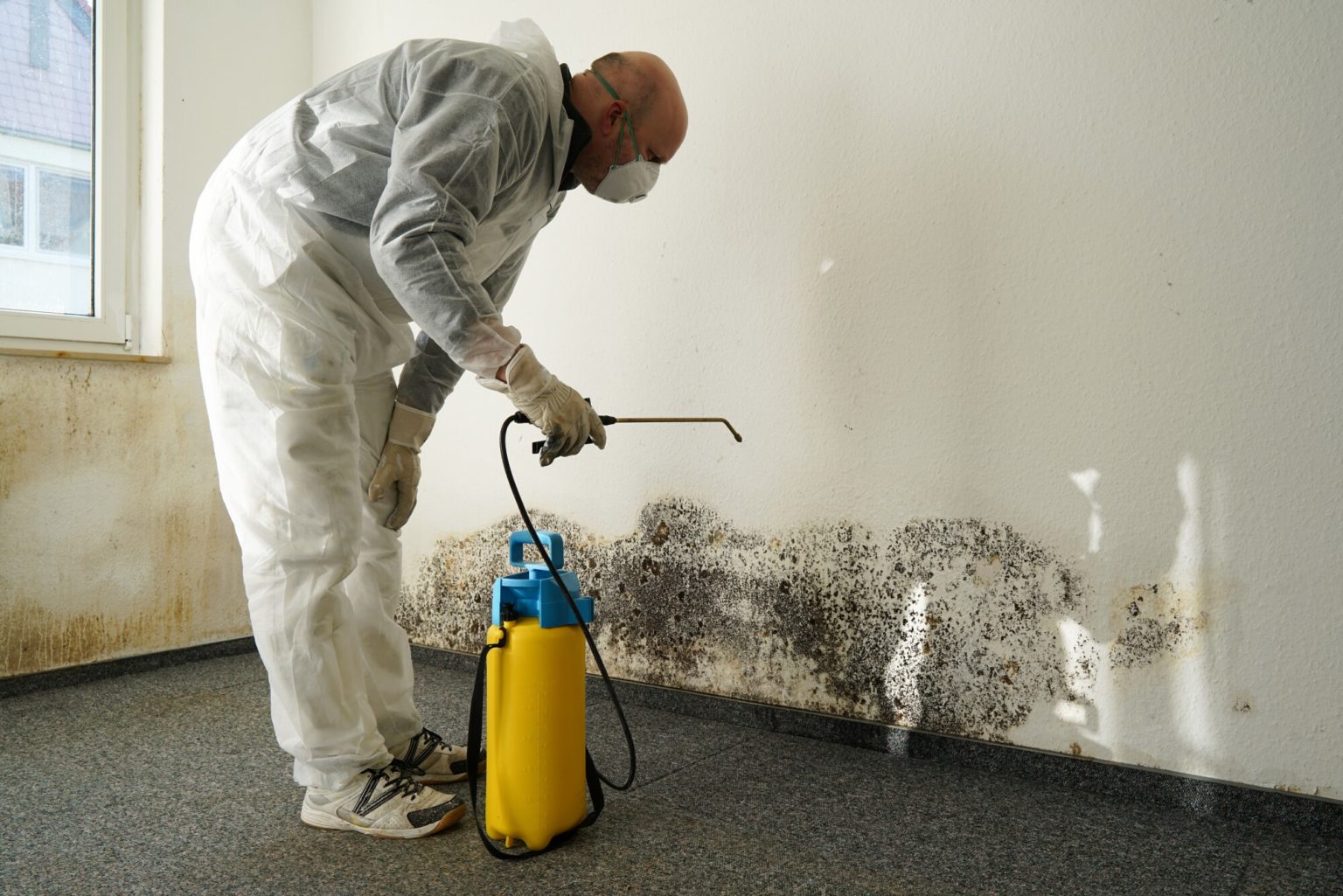 What Happens If You Breathe In Too Much Mold