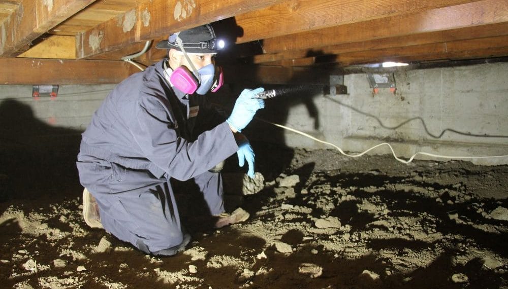 inspector finding crawl space problems
