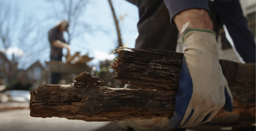 termite damage vs. wood rot