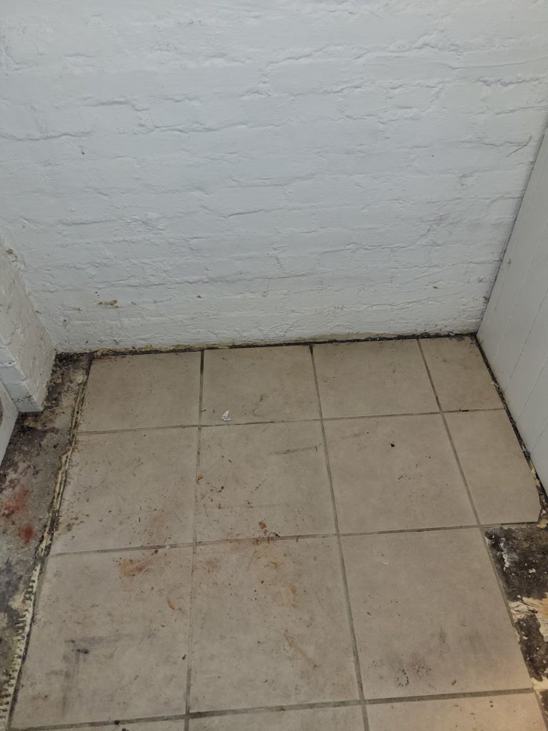 basement bathroom with water damage