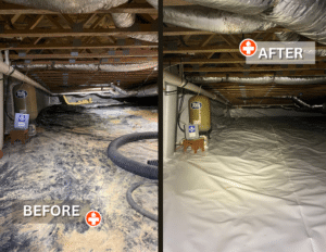Crawl space encapsulation before & after.